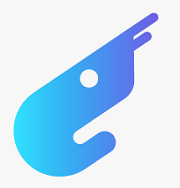 网站建设,谷歌seo,谷歌关键词排名,独立站运营_虾米科技